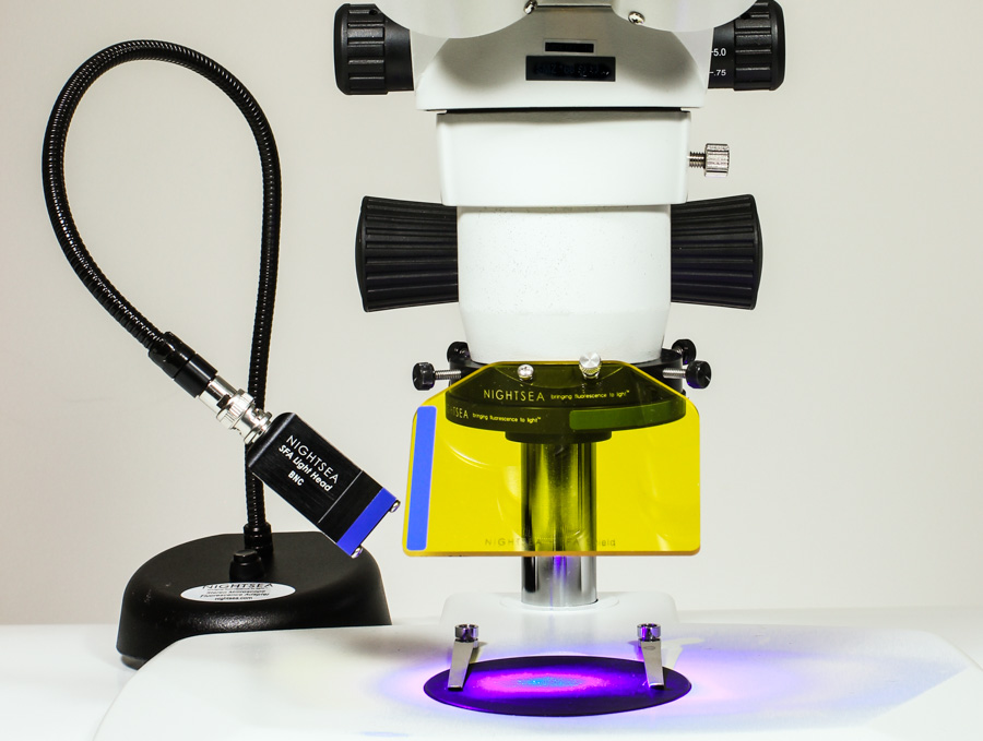 SFA-RB體視顯微鏡熒光適配器