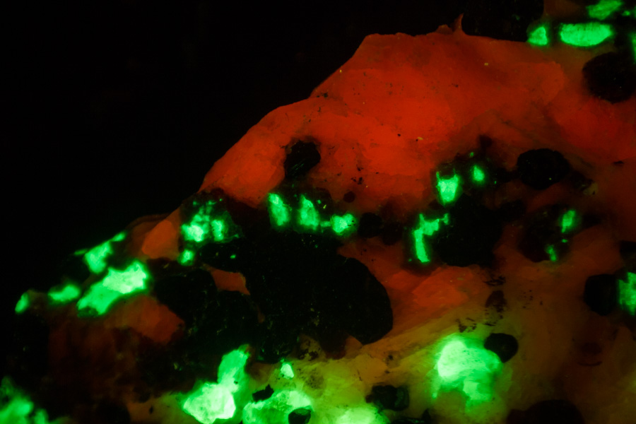 nightsea SFA體視顯微鏡的遮光罩