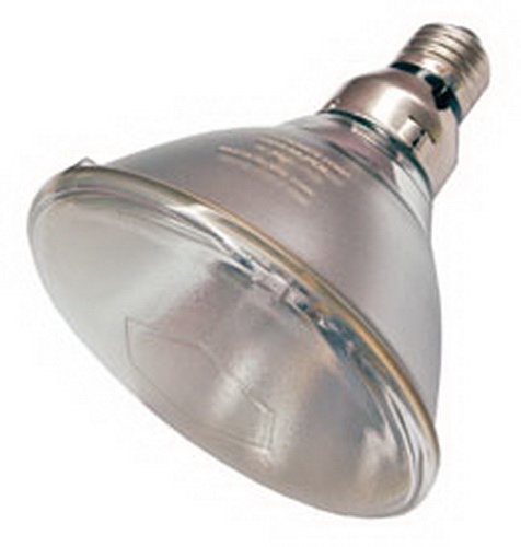 spectroline dulb-saver燈泡