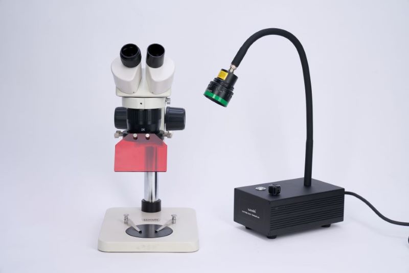 顯微鏡熒光蛋白激發光源如何選購？