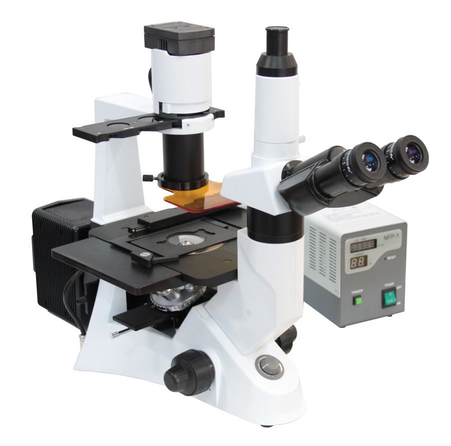 熒光顯微鏡的原理和操作步驟