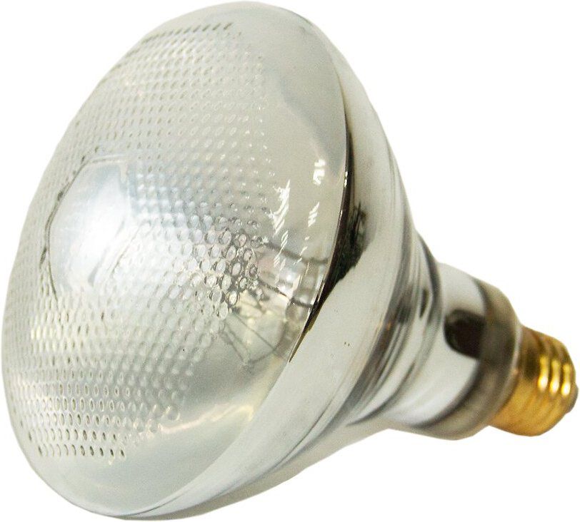 PAR38 100w 高壓汞燈紫外線燈泡